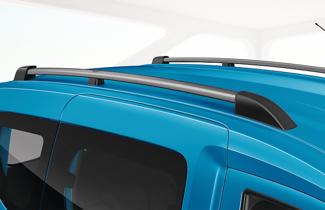Renault Dokker Stepway New